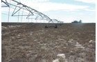 Property photo 113 - LAND AUCTION, 3255+/- Acres offered in 13 Tracts